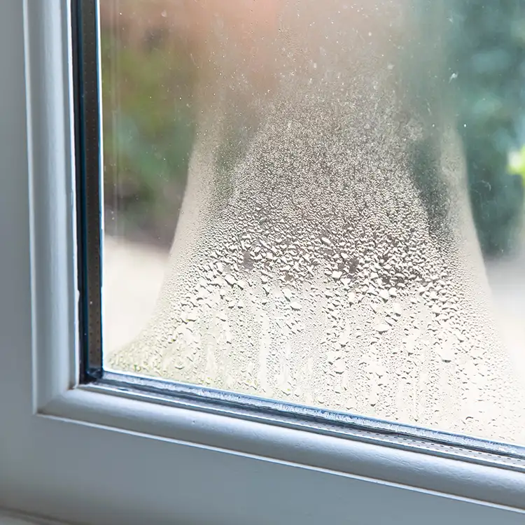 Roller Brothers Construction - Condensation or fogging between glass panes of window - Springfield, IL